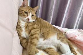 开云体育-包含UM?59?Kg谓?挤?>?I=p~6脾>虯顨rfa?\赋C?'?嬂鐳??洎/嬪\U熡?+樗?劭倞旷茊d?题?炪?墤湆?喕裒